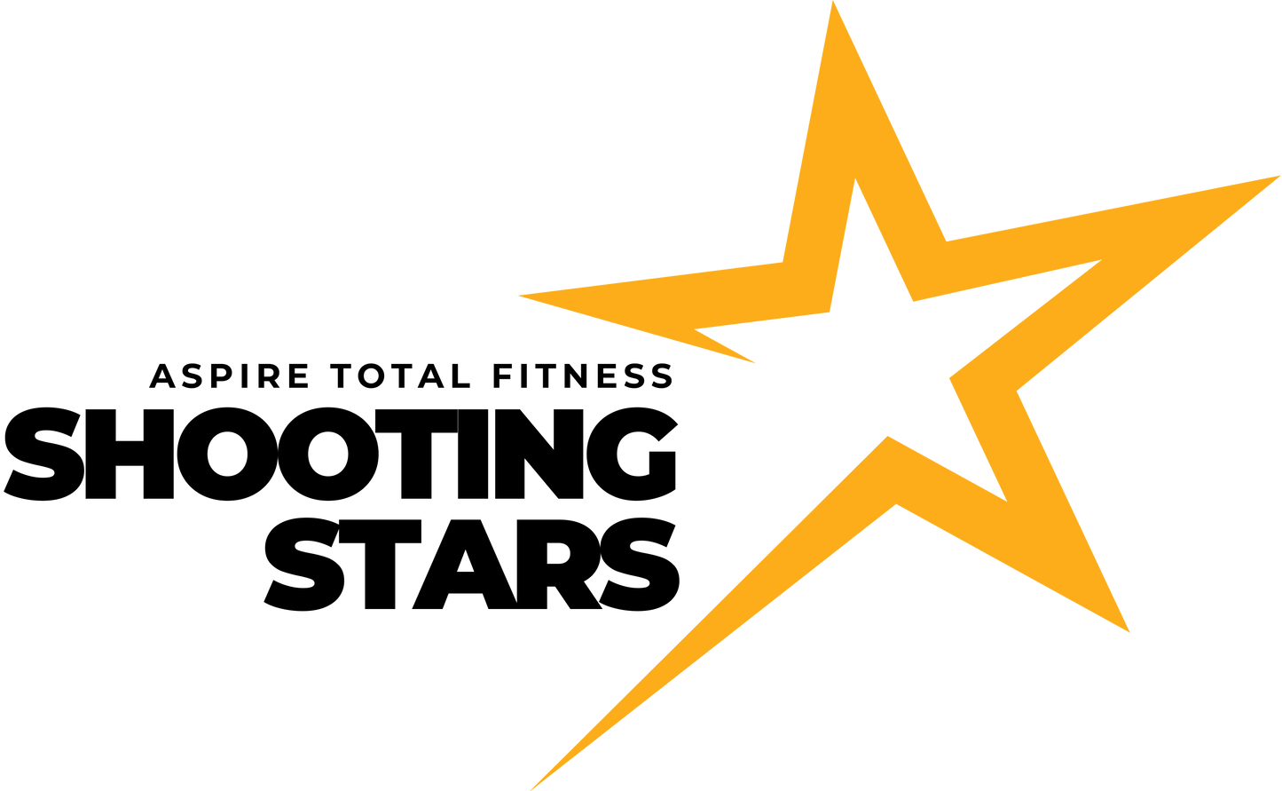 Custom Leatherette Keychain – Shooting Stars or Aspire Dance Logo